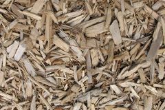biomass boilers Bontddu