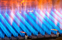 Bontddu gas fired boilers